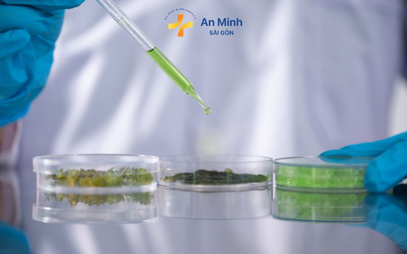 DHA từ tảo biển